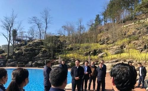 牛年第一天，叶红专调研矮寨奇观旅游区