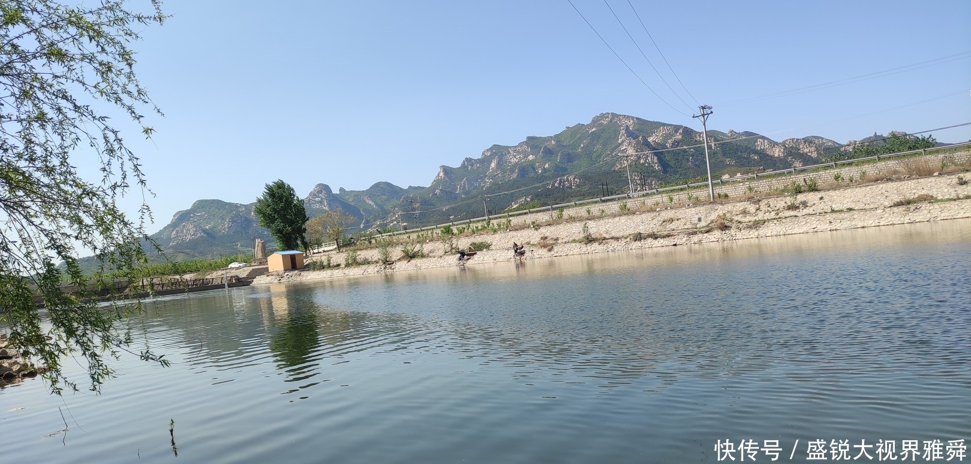 地方|初夏草鱼都藏在这三种地方,找到就能连竿,找不到大机率要空军。
