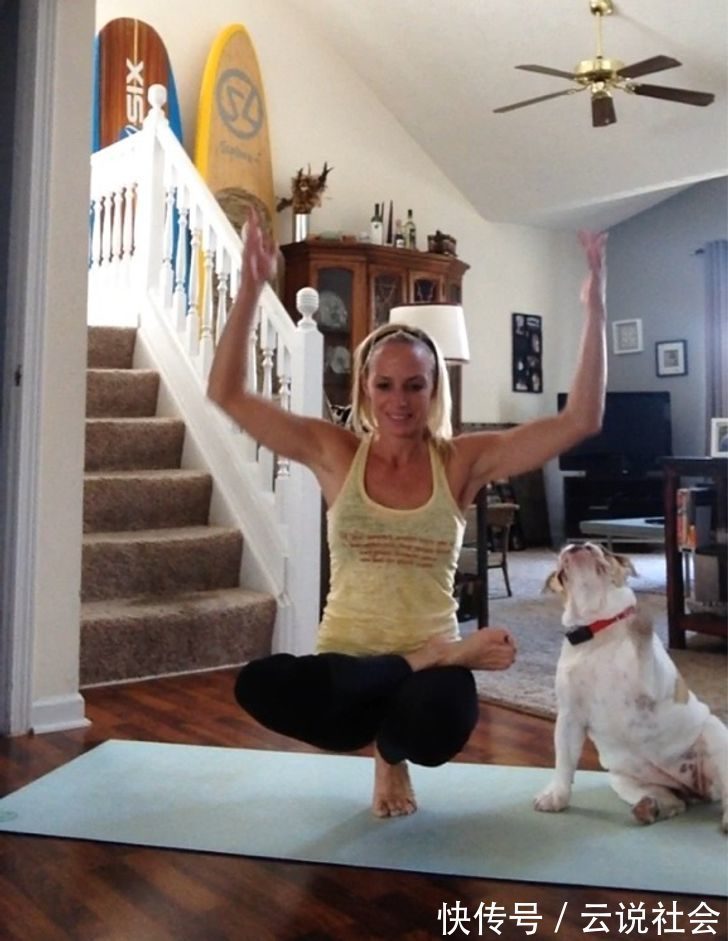 宠物|姿势比人类还专业?20个「宠物做瑜伽」的爆笑瞬间