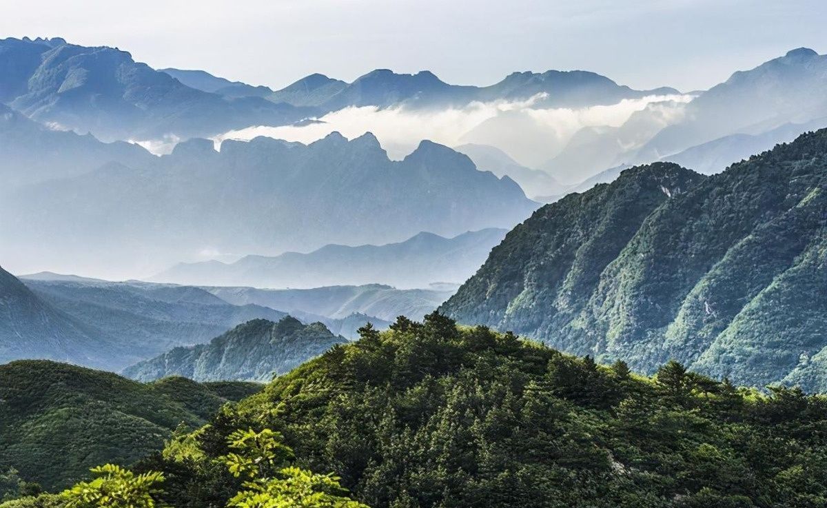 戒掉|曾国藩一个人想要成功,就要戒掉这两个字