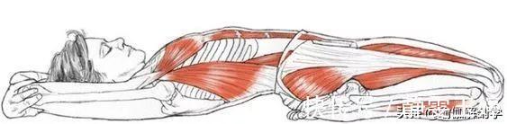 序列|仰卧英雄总是躺不下去这5套瑜伽序列要常练!