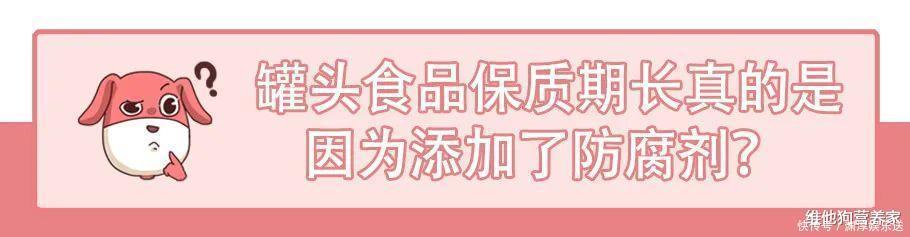 保质期|保质期长真的是添加了很多防腐剂这次就为罐头食品正名