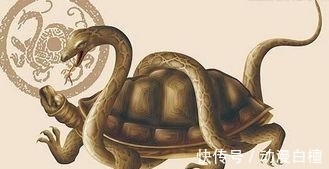 朱雀|海贼王:天之四灵其实已经暴露有三!青龙是凯多,其他两人是谁?