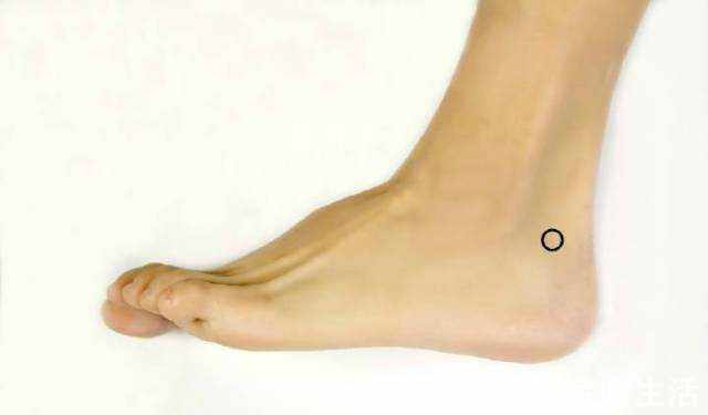 主治|一处是人体自带的“药”,补阳气,治百病,还能抗衰老促年轻