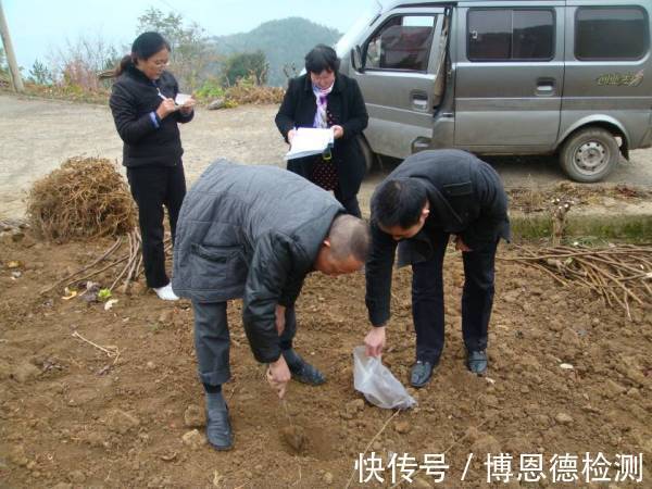 污染物|一文详解场地调查流程、项目和标准