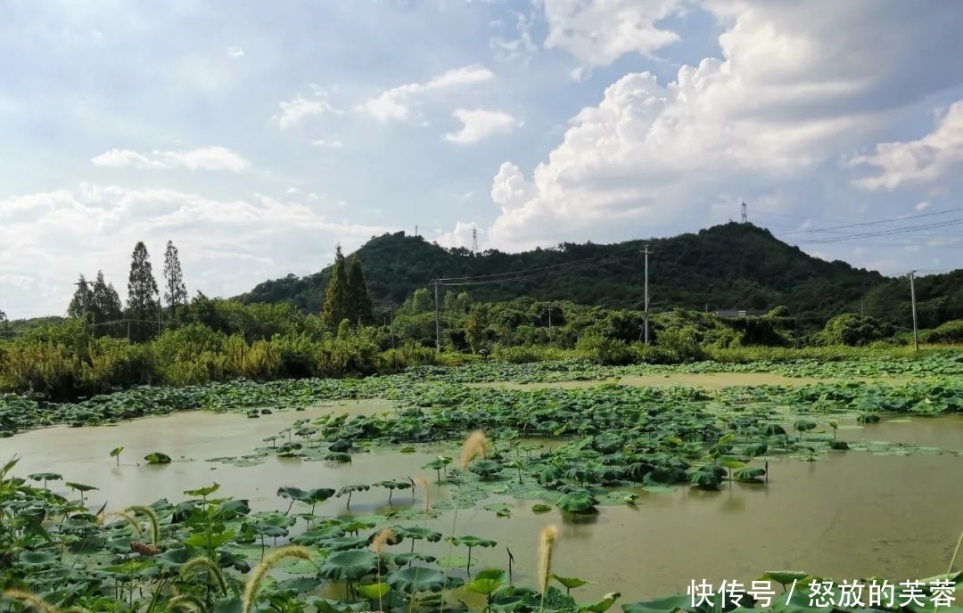 钓黑鱼不只有路亚,只要掌握方法,手竿传统钓一样刺激