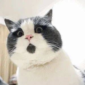 蔡艳|奇闻！八旬老人离不开水！每隔七八分钟就得洗脸洗头