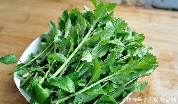 通脉|农村这些野菜中，降低血糖，补肝肾，温经通脉，食疗功效高。