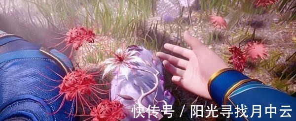 动画制作|《斗罗大陆》小舞献祭，第134集的五个细节，你发现了吗