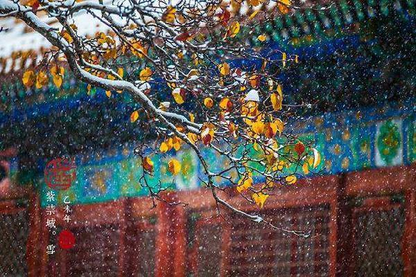 国潮当道,美图用传统文化俘获“后浪”