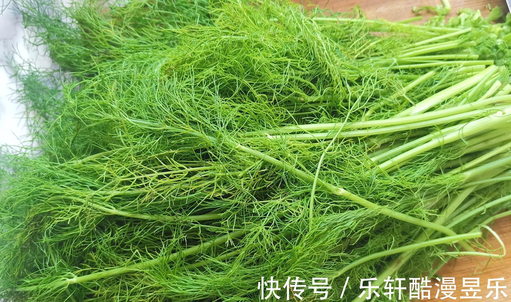 茴香油|三伏天，做馅还得这个菜，健脾开胃又好吃，出锅连吃3个，真过瘾