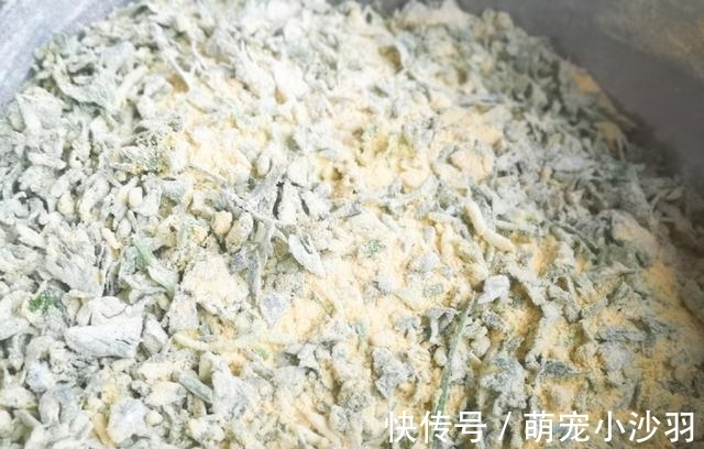 早餐不用愁，营养早餐饼，不用发酵，几分钟烙一锅，好吃又健康