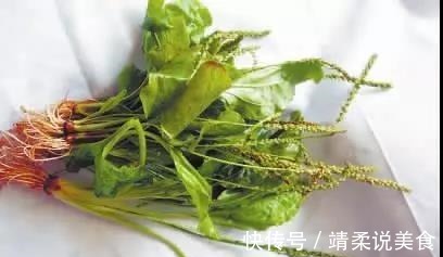 清热解毒|野菜吃不对小心致命!这7种野菜可以放心吃