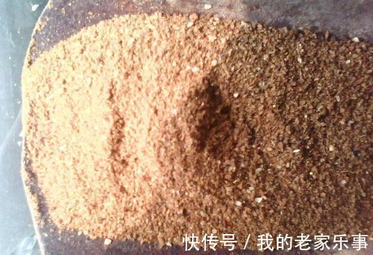 丢了腐叶土吧,捡“3种料”,掺和一起,就是养花万能土