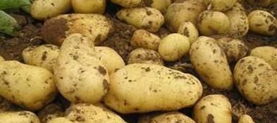 血糖|患糖尿病5年的他，仅用半年，空腹血糖11降到7，降糖经验告诉你