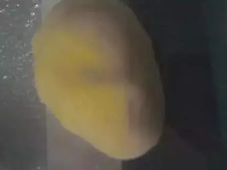 雾化|自制鲤鱼饵料简单天然,钓大鱼一绝,配方公开!