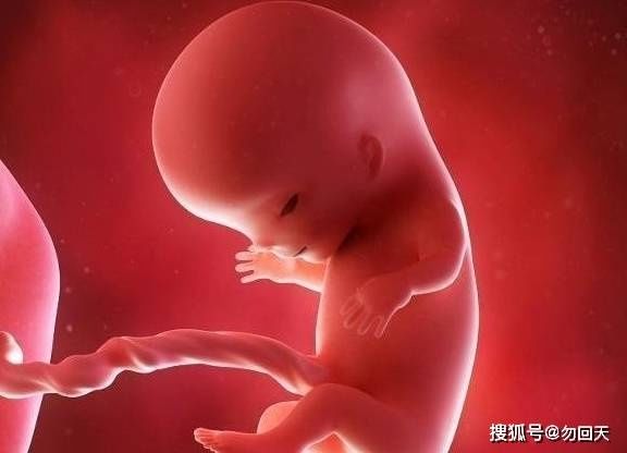 增长|胎儿到了孕37周的时候，体重是否还在增长，或许很多孕妈想错了