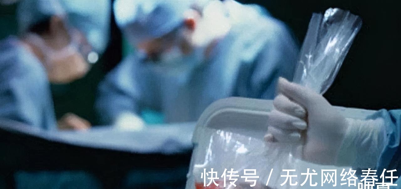 小菲伊|1984年美国女婴移植狒狒心脏,手术成功后,小女孩活了多久?