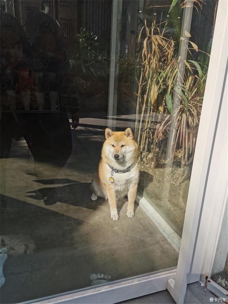 花海|厦门自由行