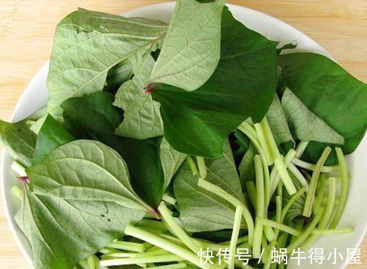 冬病夏治|吃了红薯叶以后,切不可别碰3类食物,不然对身体不利!