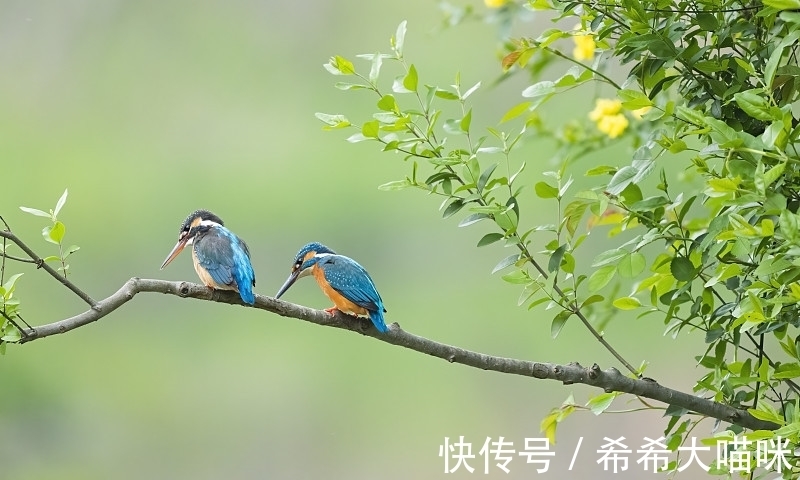 左拾遗|杜甫的《曲江》名篇,首联深受人喜爱,有何妙处?