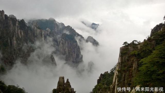 黄山一树堪称无价之宝，树龄超800年有警卫全年保护，靠近都不行