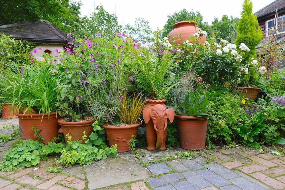  看完这个，想把家里花盆丢了