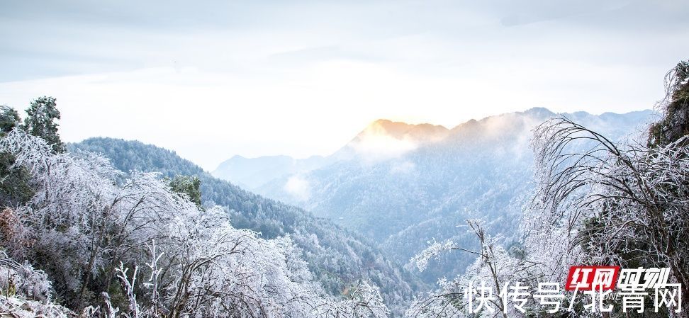 铁瓦仙|炎陵云上大院铁瓦仙 初春雪景如画