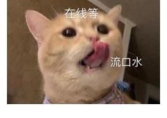 下位|《夏日少年派》怎么越看越饿了