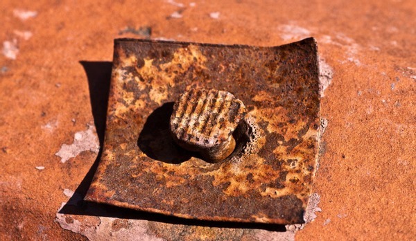 植物|花店老板打死都不愿意说的秘密养花草怎么防治烂根黄叶