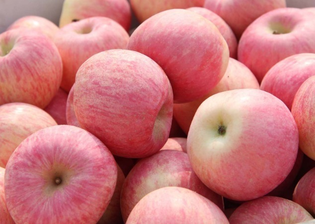 老年人|“每天一苹果,医生远离我”,关于吃苹果的小细节,了解下