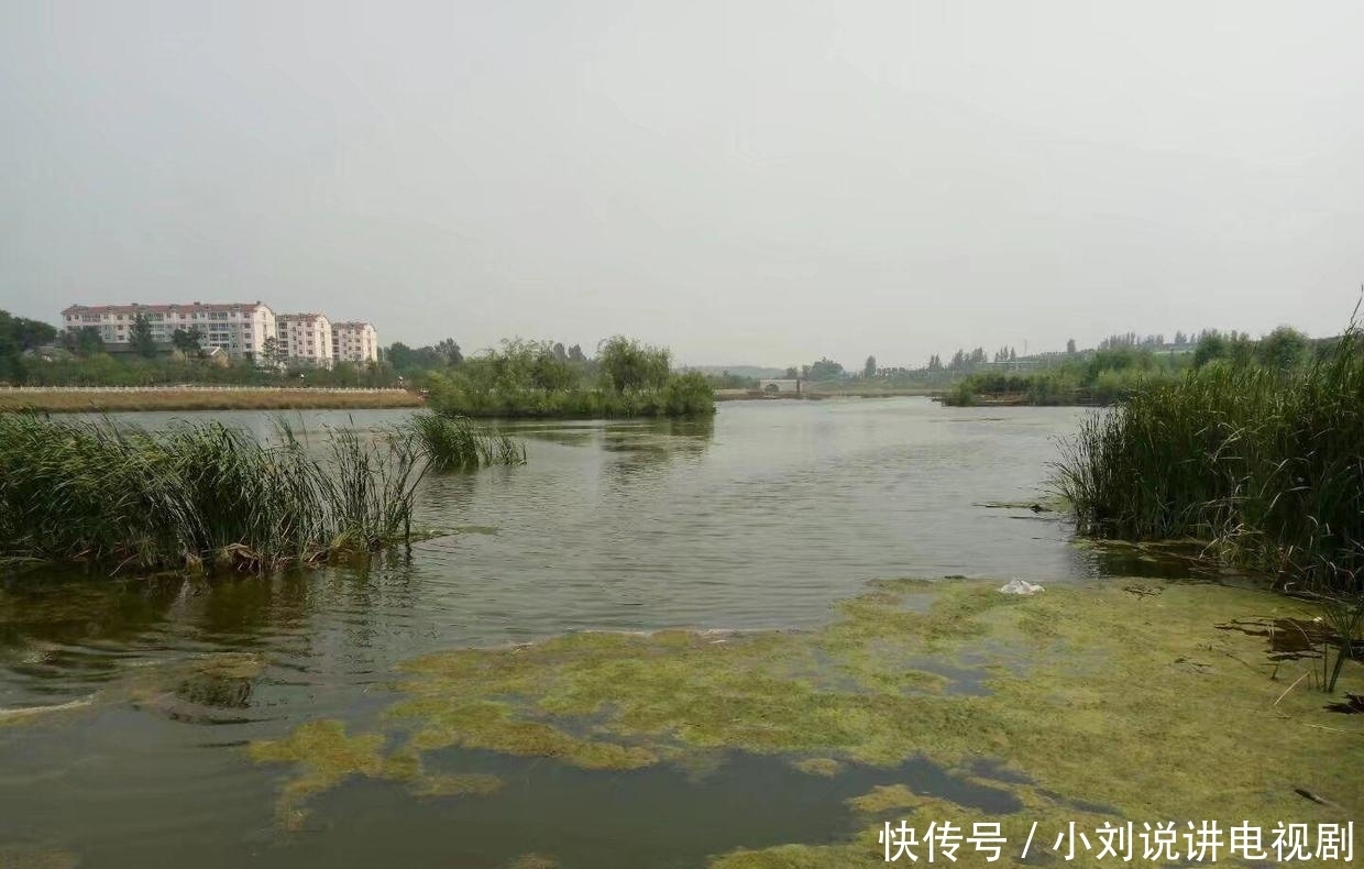 处世|曾国藩:用兵要讲“暇”,处世要讲“浑”,做人要讲“诚”