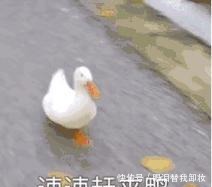 老字号,就是这个味!老字号,就是这个味!