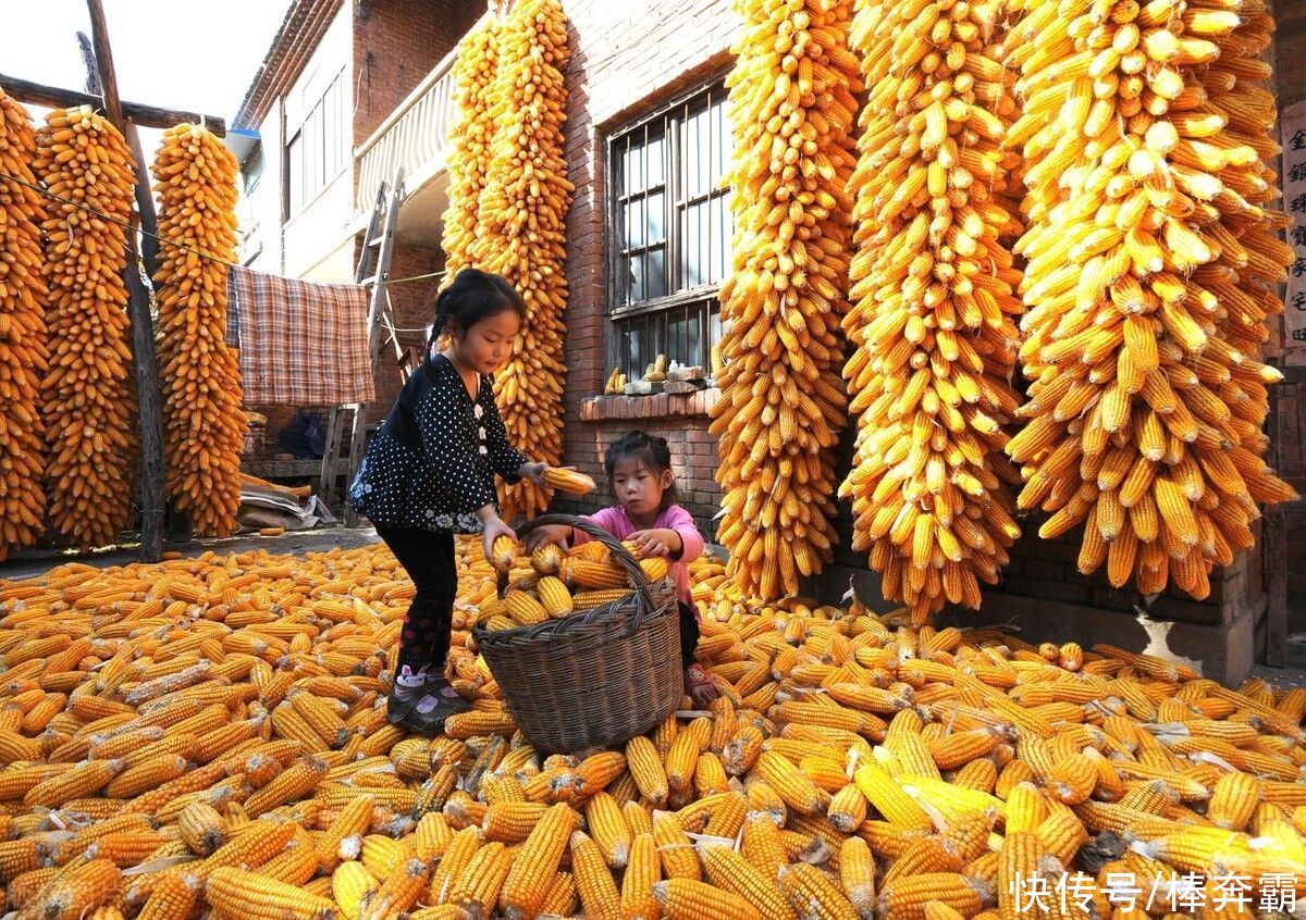 农村|立秋到,农村立秋习俗要做到“一贴二啃三吃”,指的是啥呢?