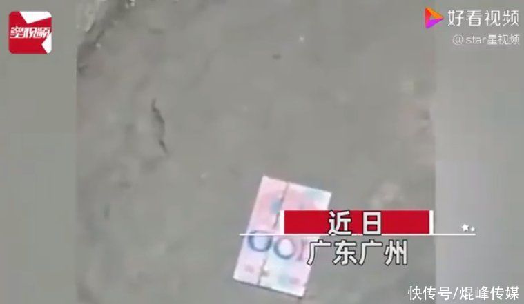  辣眼睛|马路上“50元人民币”散落一地，却无人捡拾，仔细一看不堪入目