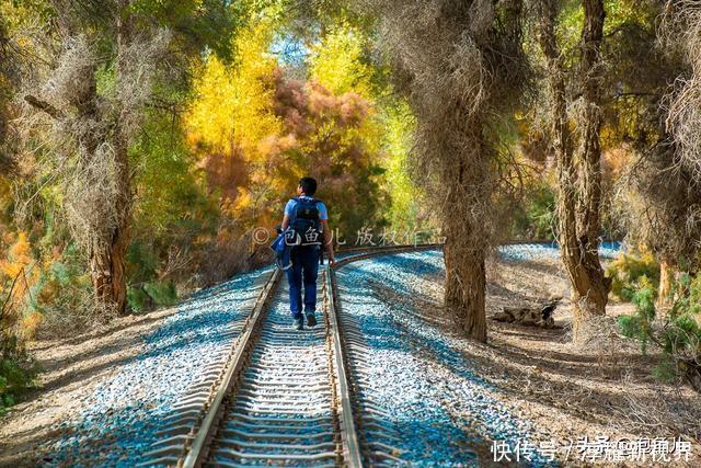 烟花|藏不住了!新疆发现全球最大沙漠胡杨林,比额济纳还美,游客很少