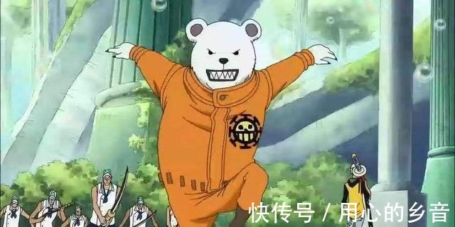 初生牛犊不怕虎|海贼王中的8只熊魅力难挡,暴君熊无敌,熊猫人最佳龙套