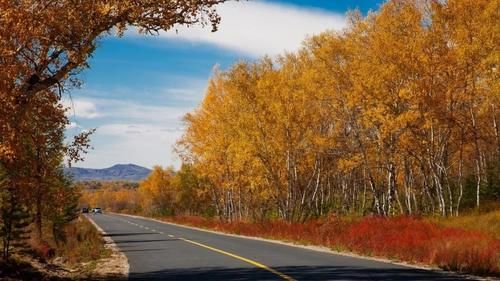 肺部|秋季干燥肺易生病？学会养肺3步法，养肺养生两不误