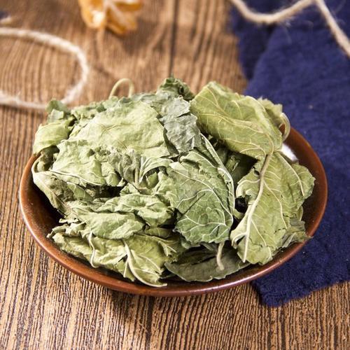 桑叶|天然长寿药，坚持泡水喝，效果一级棒，还能喝出好皮肤