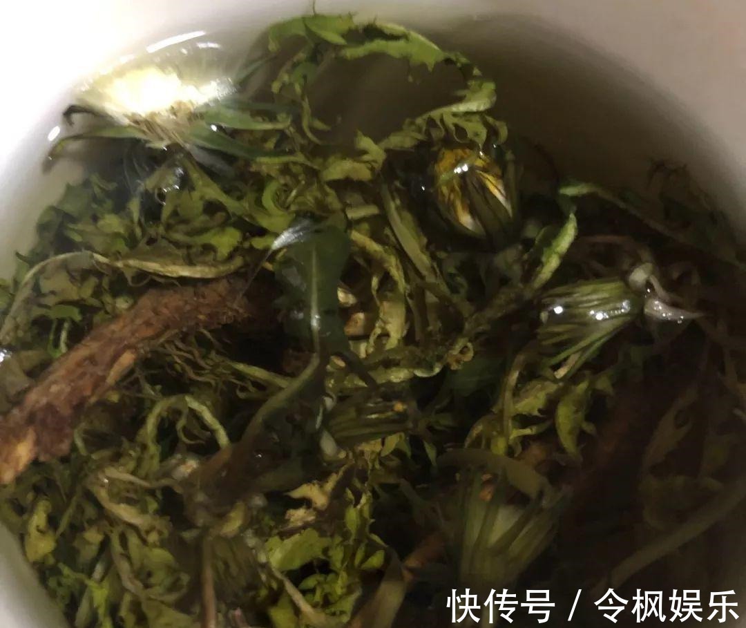 老中医最爱的8种花，一盆堪比小药箱，摘片叶子就能泡水喝！
