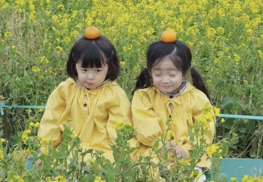 指甲油|最好认的双胞胎走红,发量一个随妈一个随爸,网友:妈妈真偏心