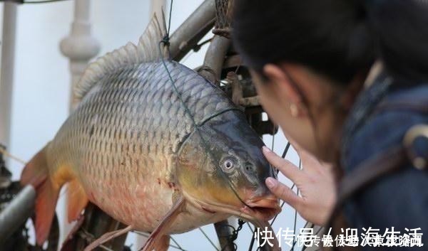 钓法|民间钓鱼人的“流氓式钓鱼”,不用钓饵的,每天照样获鱼几十斤