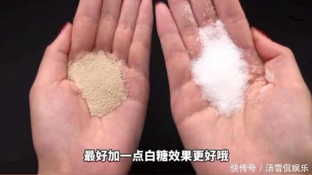 酵母粉的正确使用方法,别再这么放了,强烈建议收藏