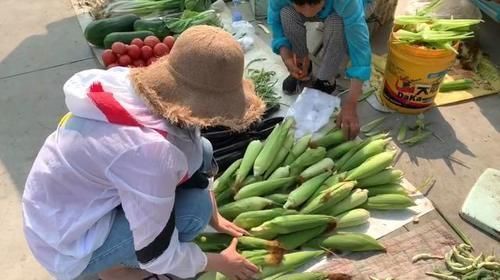 玉米皮|7月趁着玉米便宜,教您2个保存妙招,放一年都不坏,实用又省事