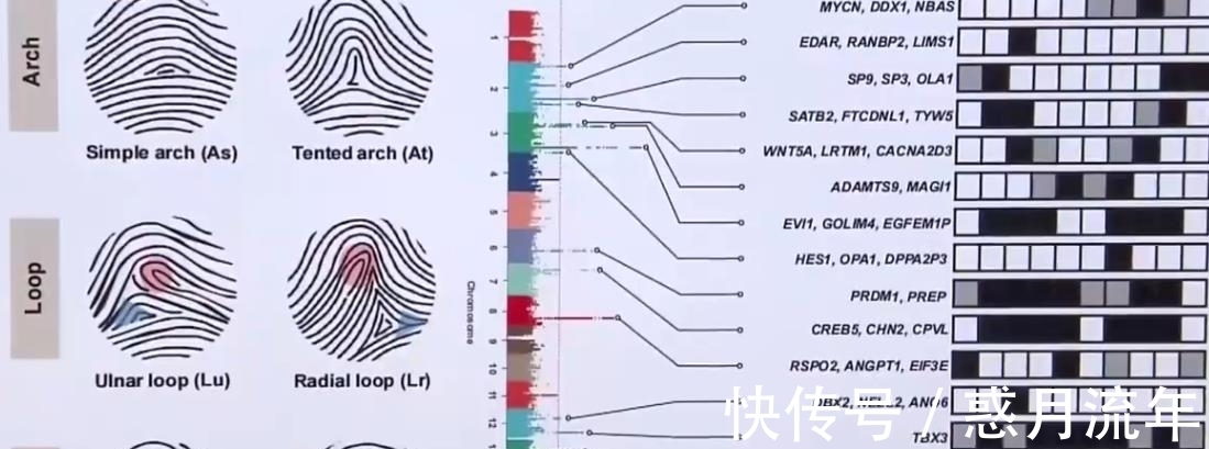 人的一生$“一螺穷,二螺富,三螺四螺卖豆腐”有道理吗?科学有了新发现