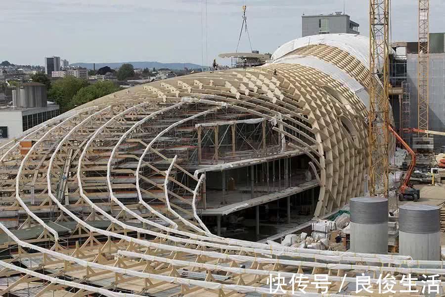 建筑|全球最大木构装配式建筑建成超低能耗的木构建筑或成未来趋势