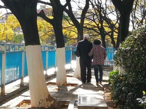 心脑血管|年龄偏大的人易患高血压,这3种运动别做,这2种运动很适合