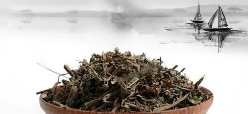 解决方案|肾阳虚、肾阴虚、肾气虚判断方法与解决方案都在这了