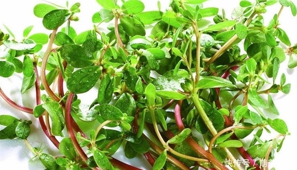 蔬菜为啥要焯水?营养师:这5种蔬菜必须焯水再吃,以免“中毒”