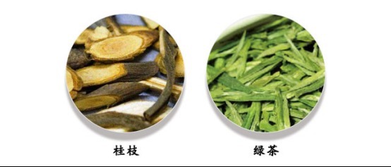 风寒|桂枝--解表风寒疼痛的扫地僧,低调而矜持!